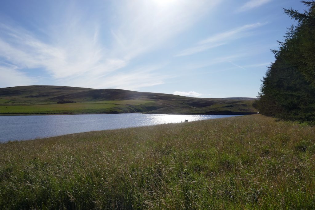 Whiteadder Reservoir in the evening sun