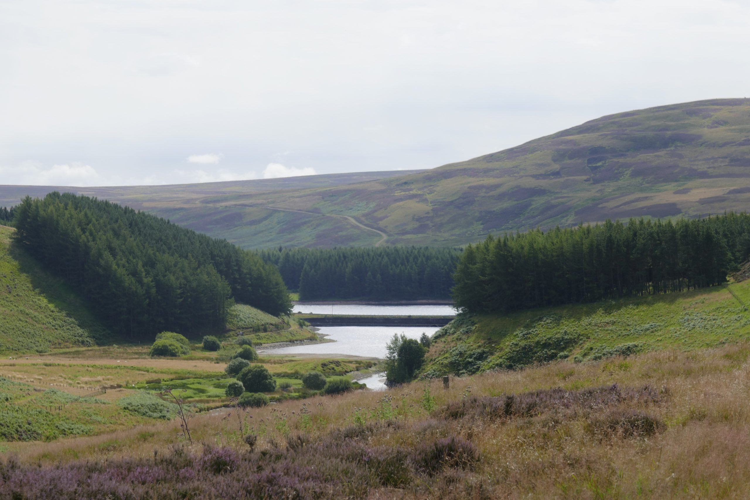 Whiteadder Reservoir, Lammermuir Hills