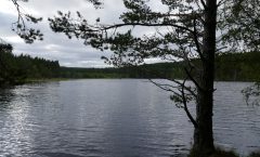 Paddling solo on Loch Insh