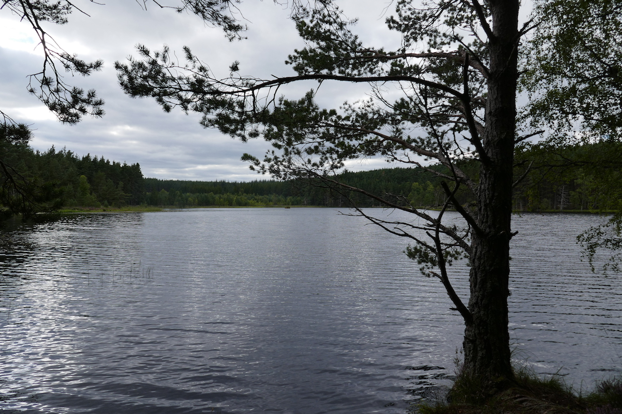 Not Loch Insh - Uath Lochan